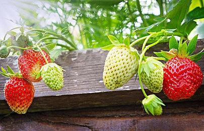 E3：T2发布会没有《侠盗猎车6》和《生化奇兵4》